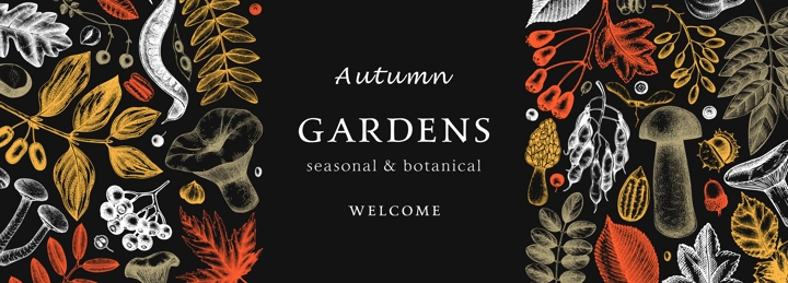 Hand sketched autumn design in color. Elegant and trendy botanical template with autumn leaves, pumpkins, berries, mushrooms, nuts drawings. Vintage plants template. Autumn food background.
